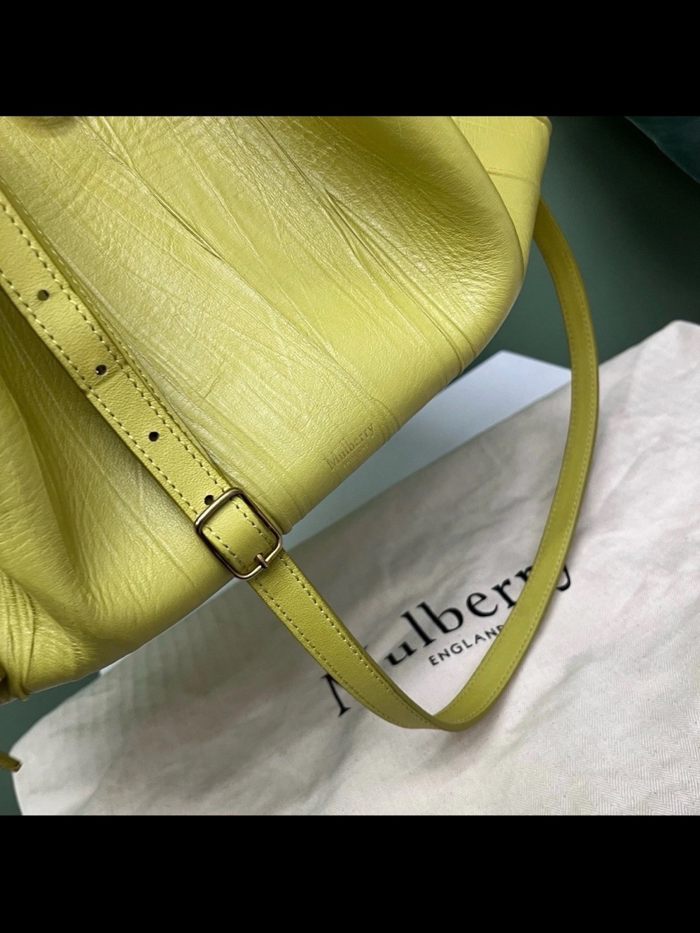 Mulberry Braided-Handle Shoulder Bag in Lime Green - Picture 7 of 16